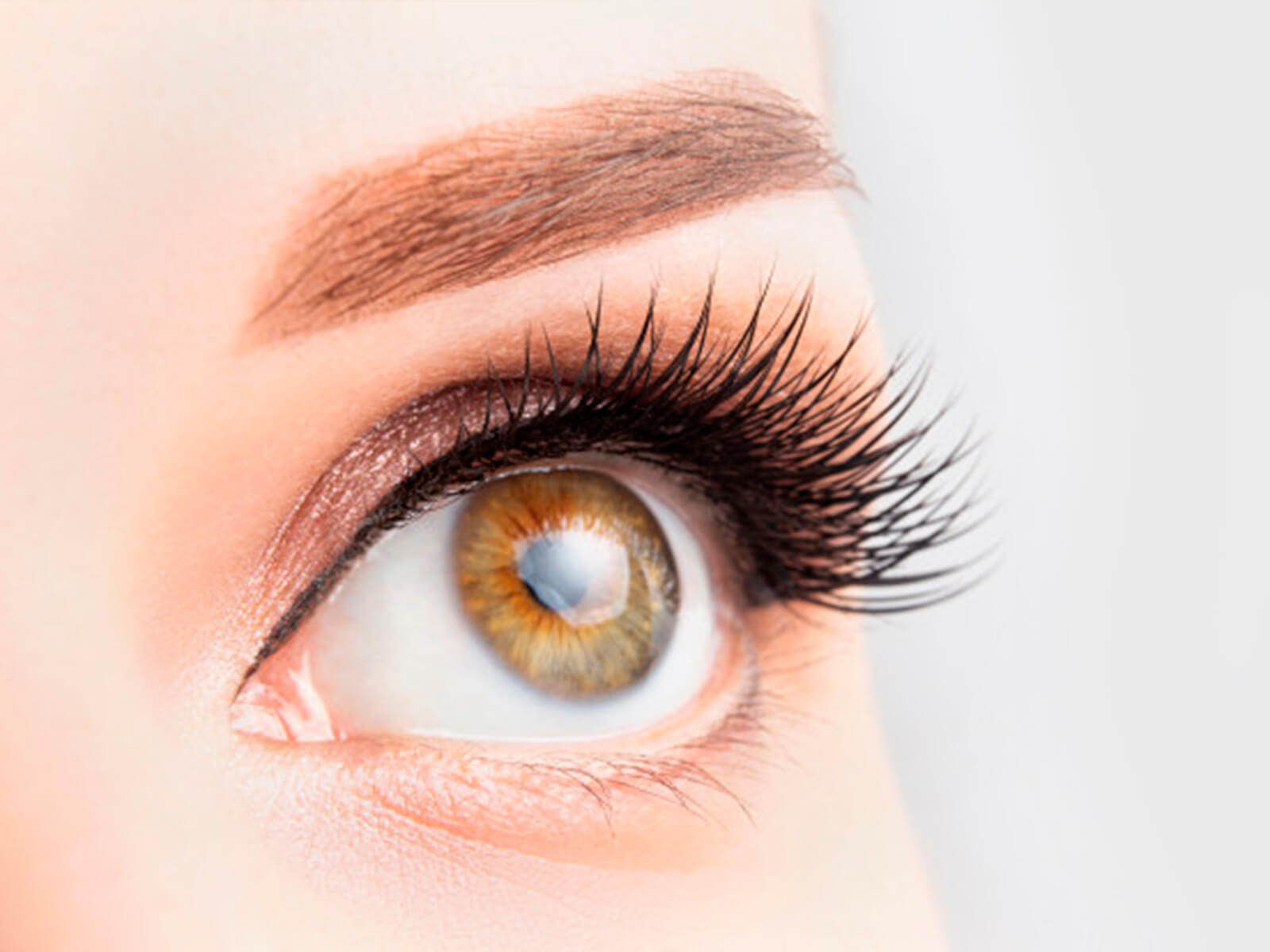 Eyes