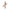 Concealer SOFT FOCUS